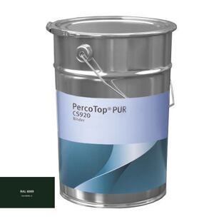 Polyuretanová 2K barva Axalta 920 RAL 6009  5° lesku