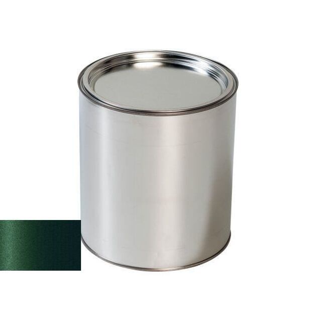 Autolak do pistole Opel 2EU FARNGRUEN/FERN GREEN