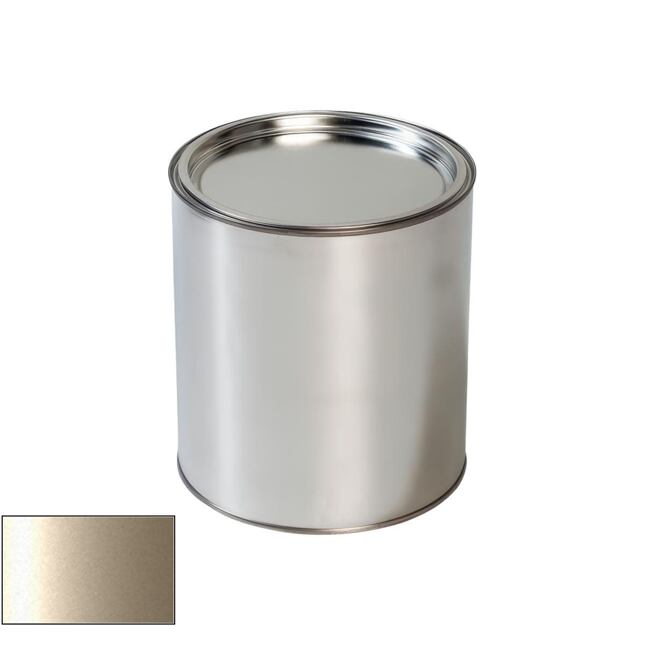 Autolak do pistole Mini WC78 Energy Silver Matt (dachfarbton)