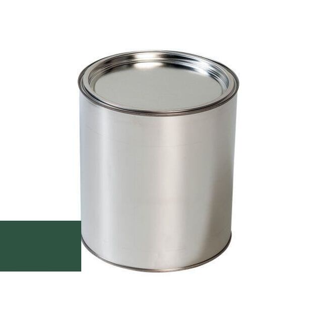 Autolak do pistole Renault B94 VERT