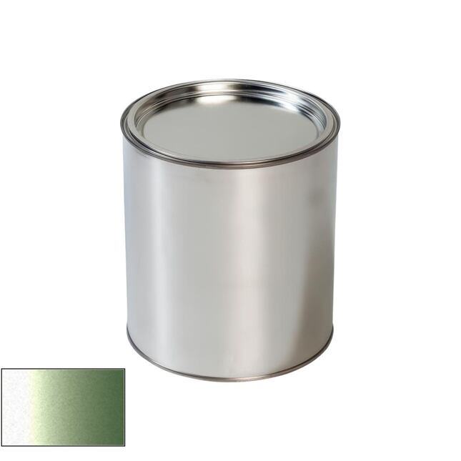 Autolak do pistole Daewoo 41F Invigorate