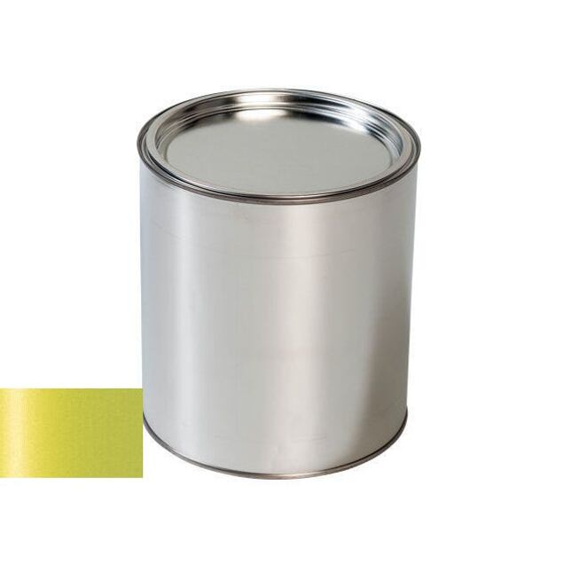 Autolak do pistole Ford R FRUEHSOMMERGELB 74