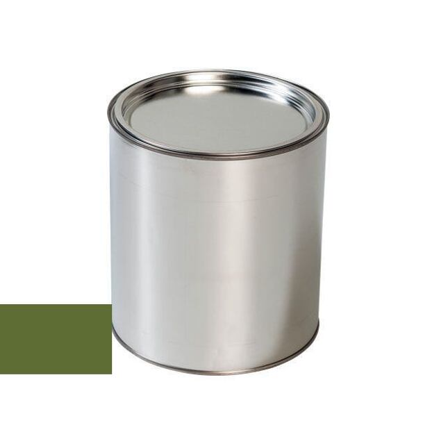 Autolak do pistole Ford VTS FERN GREEN RAL6025-GL