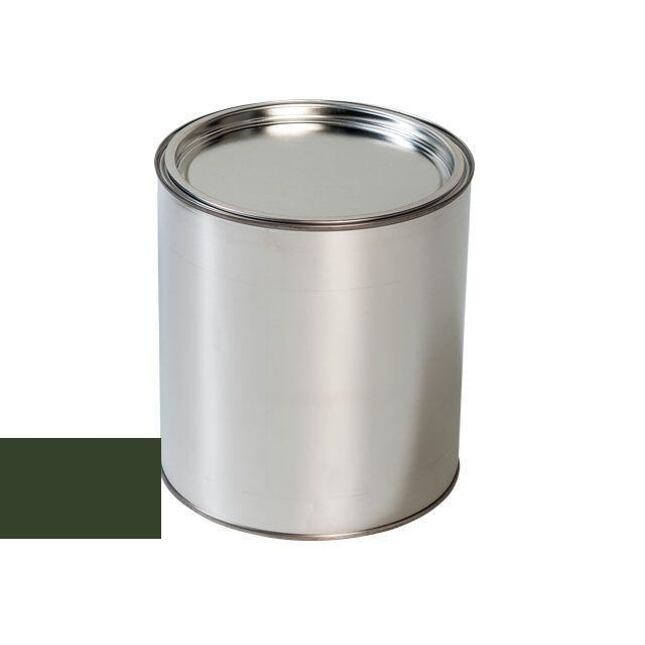 Autolak do pistole Renault G99 VERT FONCE