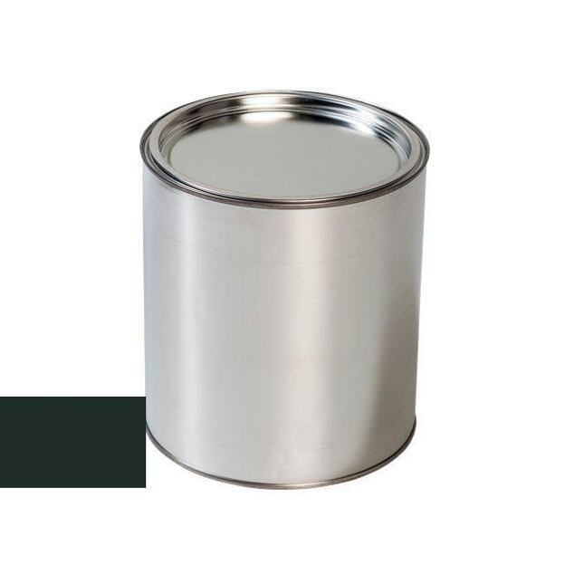 Nissan 9 ZÖLD autófestő pisztoly