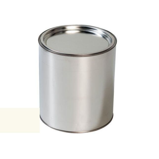 Autolak do pistole Renault G38 BLANC