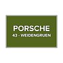 Barva ve spreji Porsche 43 Weidengruen