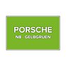 Autolak do pistole Porsche N8 Gelbgruen