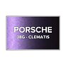 Barva ve spreji Porsche 38G Clematis