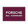 Opravná tužka na autolak Porsche 82U Sternrubin